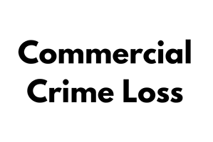 Commercial-Crime-Loss-Amor-SA Commercial-Crime-Loss-Amor-SA